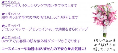 当エステサロンのこだわりフェイシャル